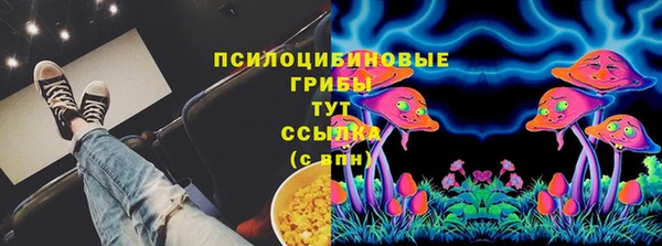 бошки Алзамай