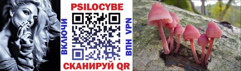 Галлюциногенные грибы Psilocybe  где купить наркотик  Новороссийск 