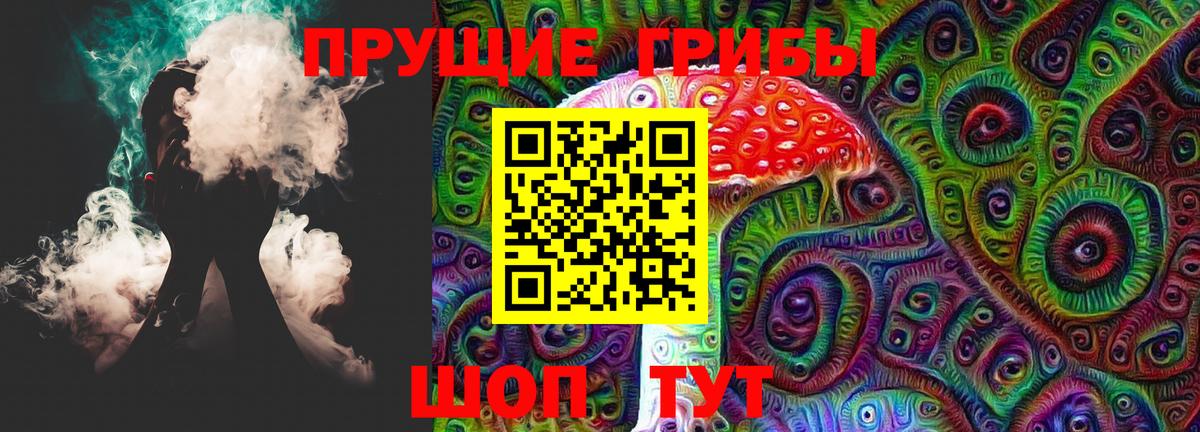 Галлюциногенные грибы Psilocybe  Вход с VPN  Новороссийск  хочу   Галлюциногенные грибы Magic Shrooms 